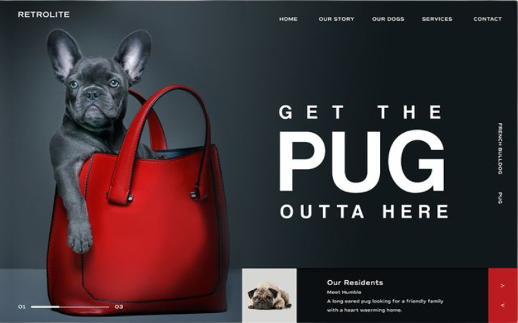 design-project-img