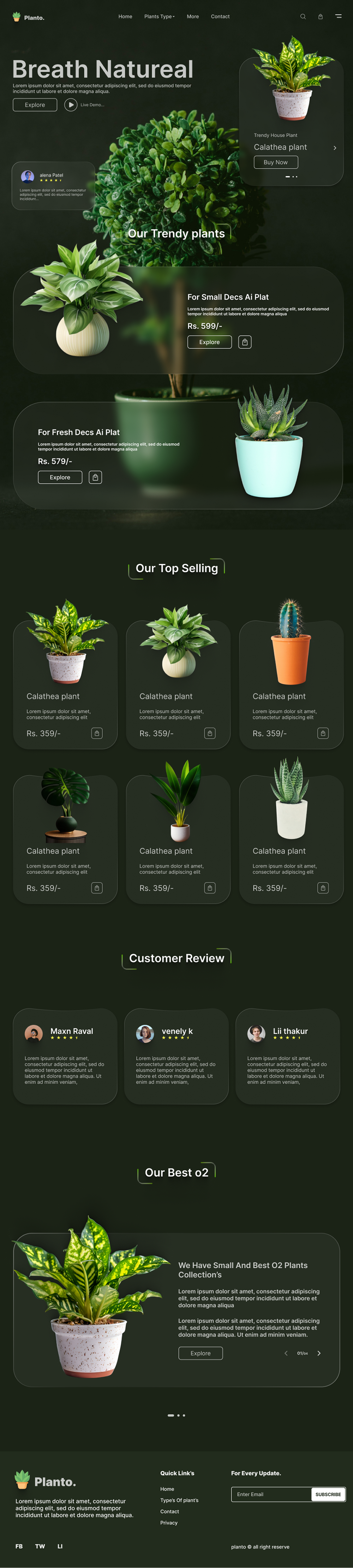 portfolio-2